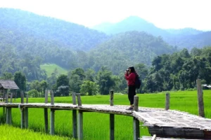 asian-female-tourist-traveler-take-photo-landscape-wooden-bridge-rice-field_36615-3842