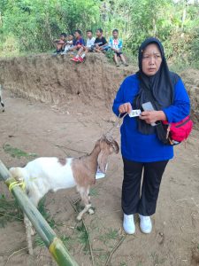 Pembagian bibit kambing ketahanan pangan ibu PKK se-Desa Gubug
