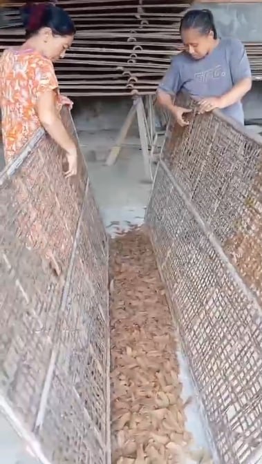 Rambak dikeringkan dengan bantuan angin
